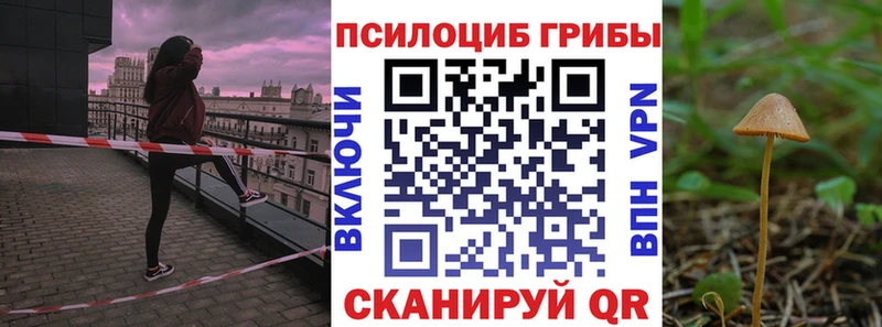 Псилоцибиновые грибы прущие грибы  blacksprut как войти  Самара 
